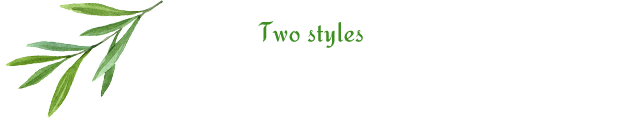 2つのスタイル