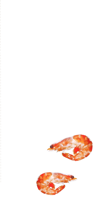 薪釜で焼く本格ピッツァ